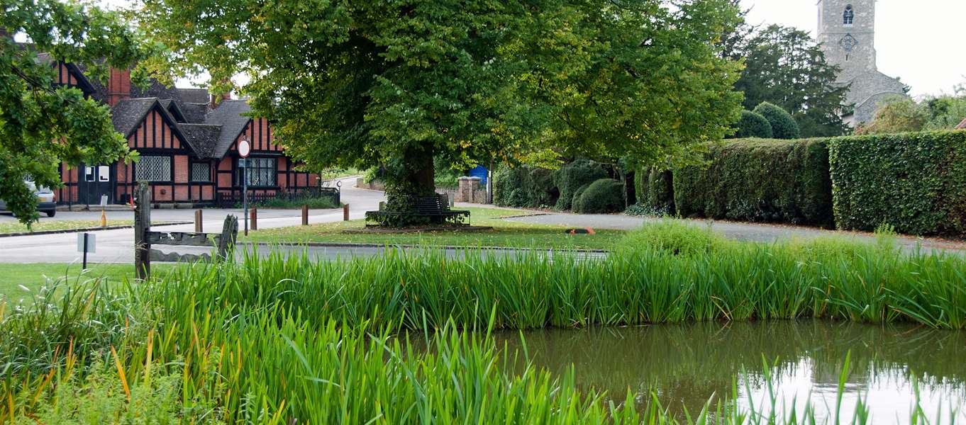 Photo of Pond